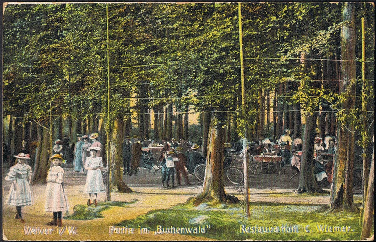Welver. Im Buchenwald, 1910