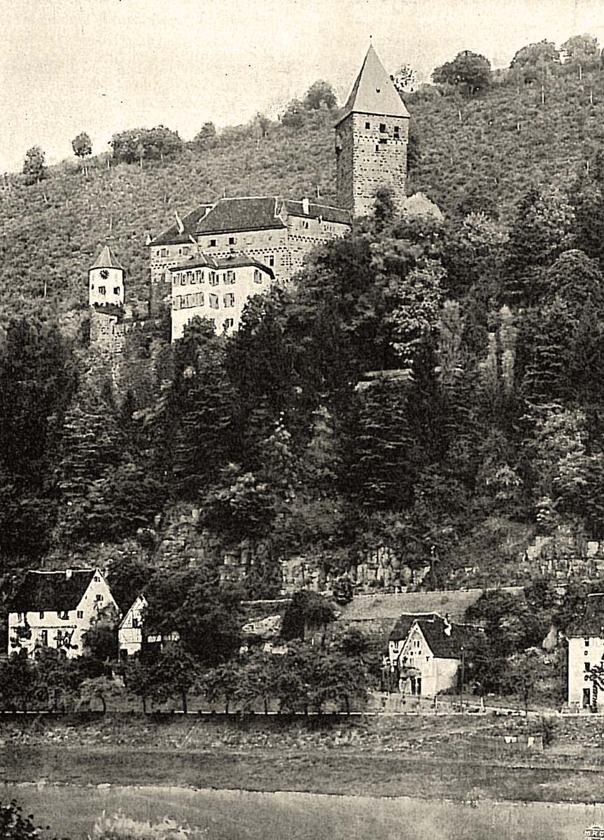 Panorama von Schloß Zwingenberg