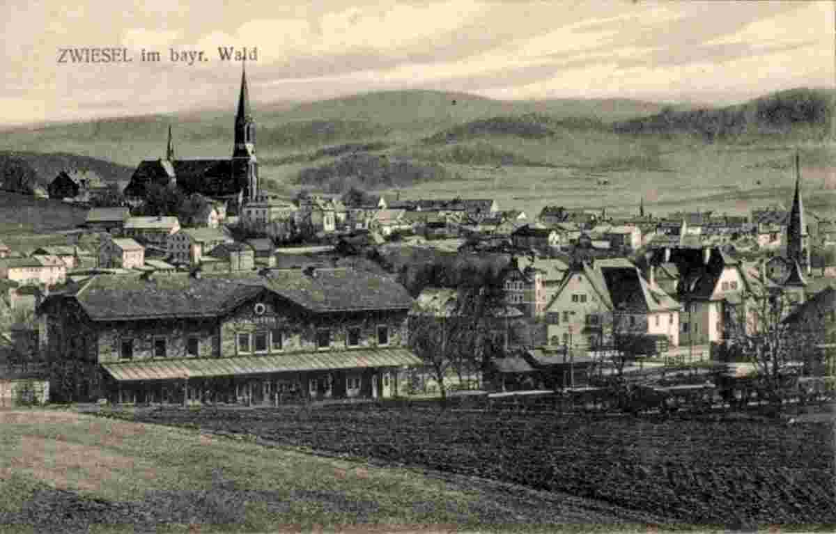 Zwiesel. Panorama der Stadt