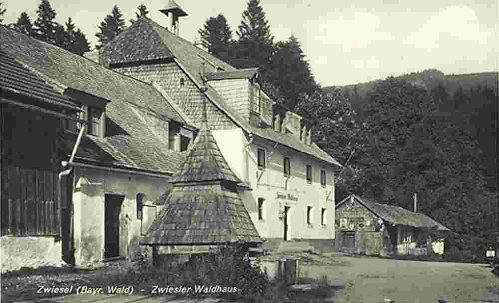 Zwiesel. Waldhaus mit Falkenstein